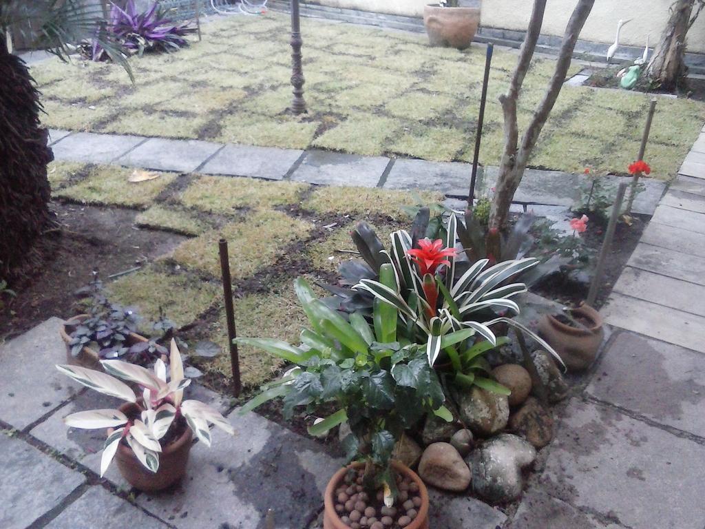 Casa Do Gil Cama E Cafe Bed and breakfast 3*